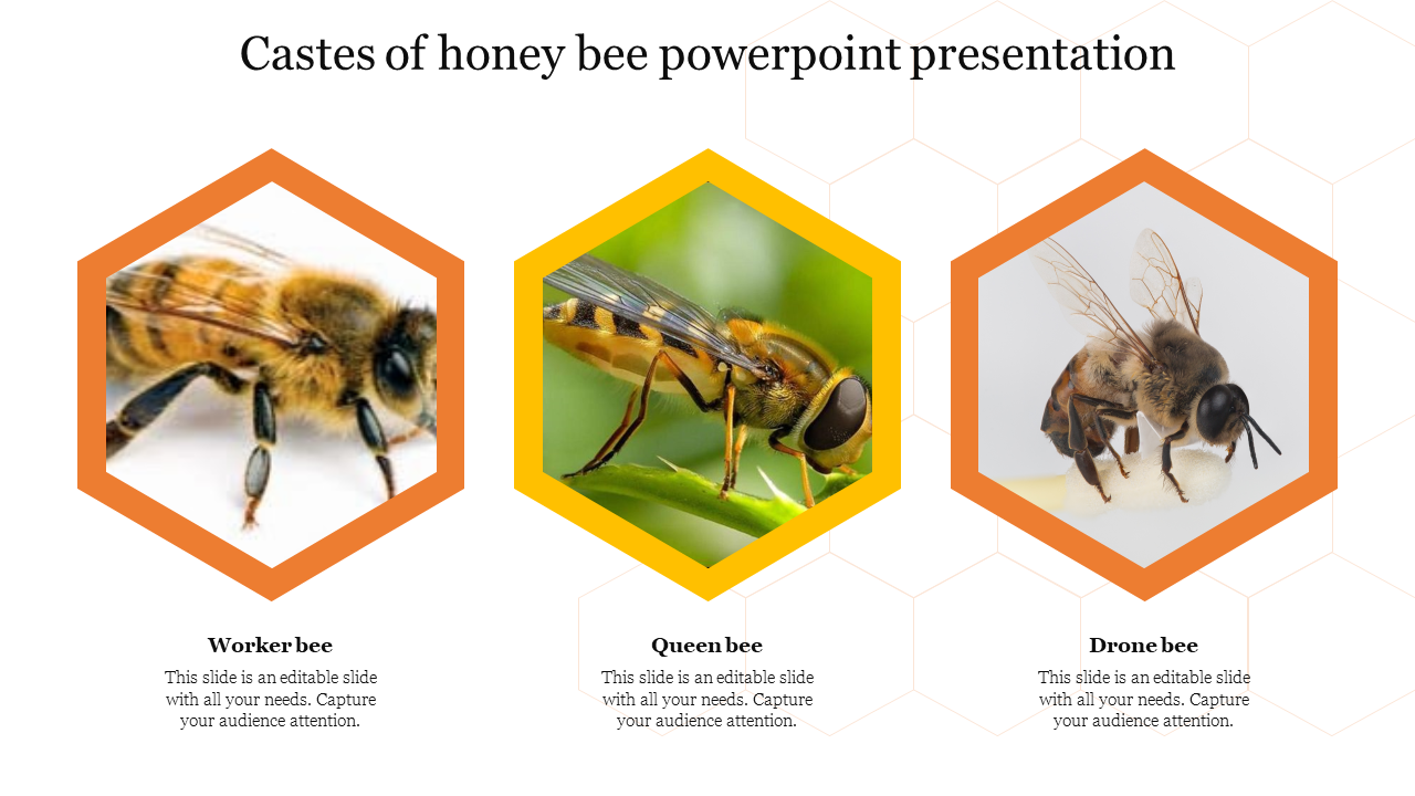 Awesome Castes Of Honey Bee Powerpoint Presentation 2063